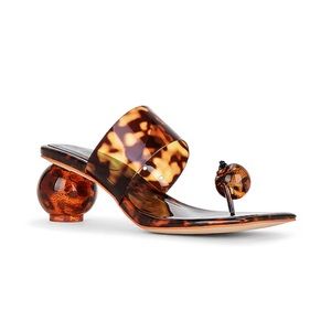 Latus Mule in Tortoise